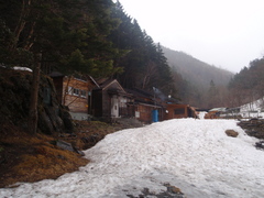 P5010008.JPG