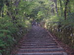 P5040003.jpg