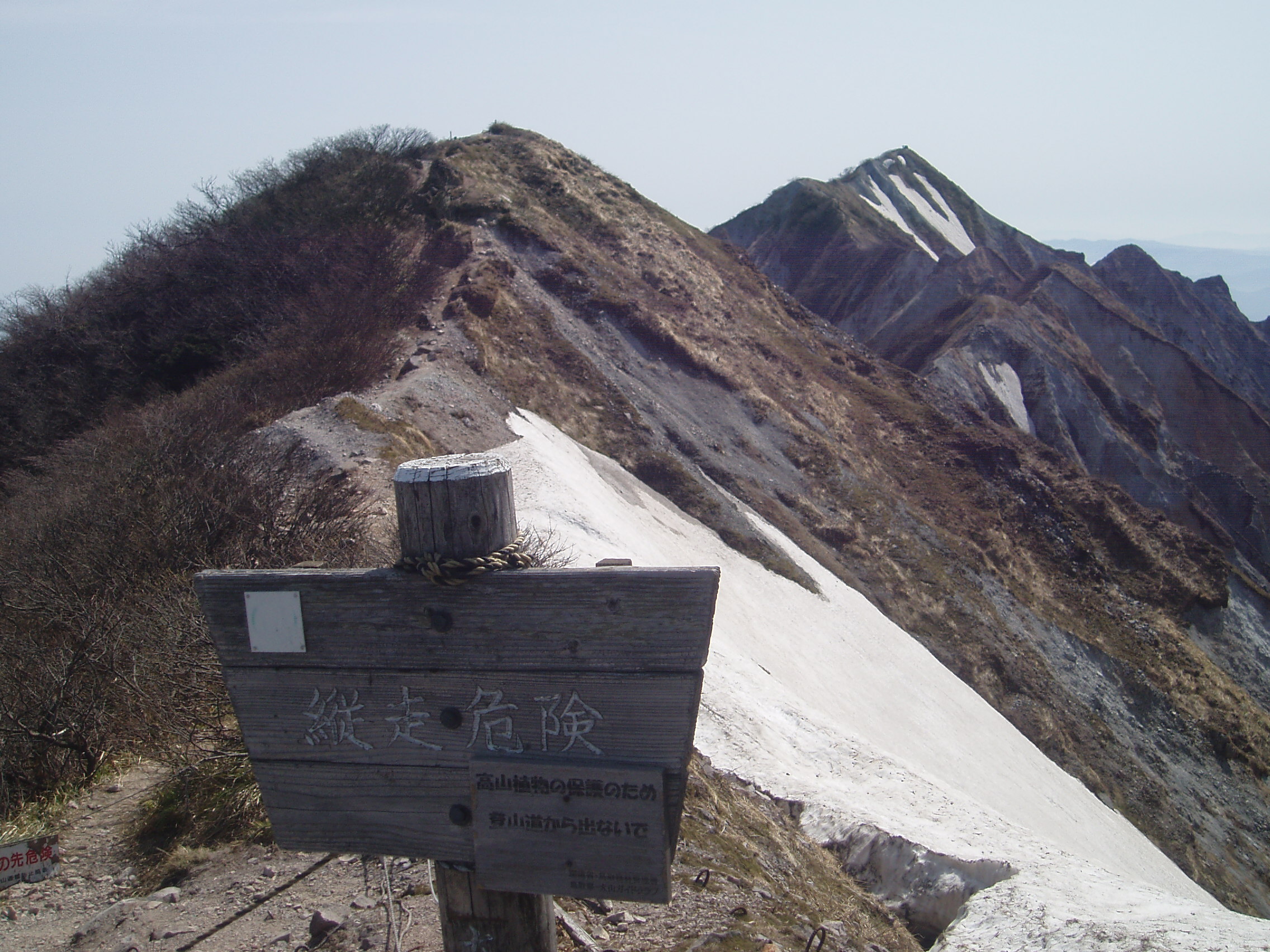 P5040021.jpg