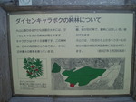 P5040022.jpg