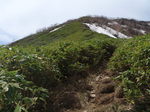 P5230059.jpg
