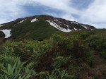 P5230060.jpg