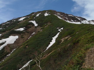 P5230061.jpg