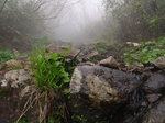 P5230103.jpg