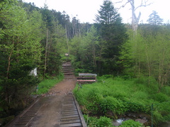 P6260130.jpg