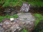 P6260131.jpg