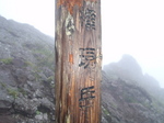 P6280355.jpg