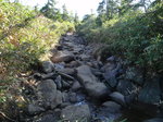 P7050007.jpg