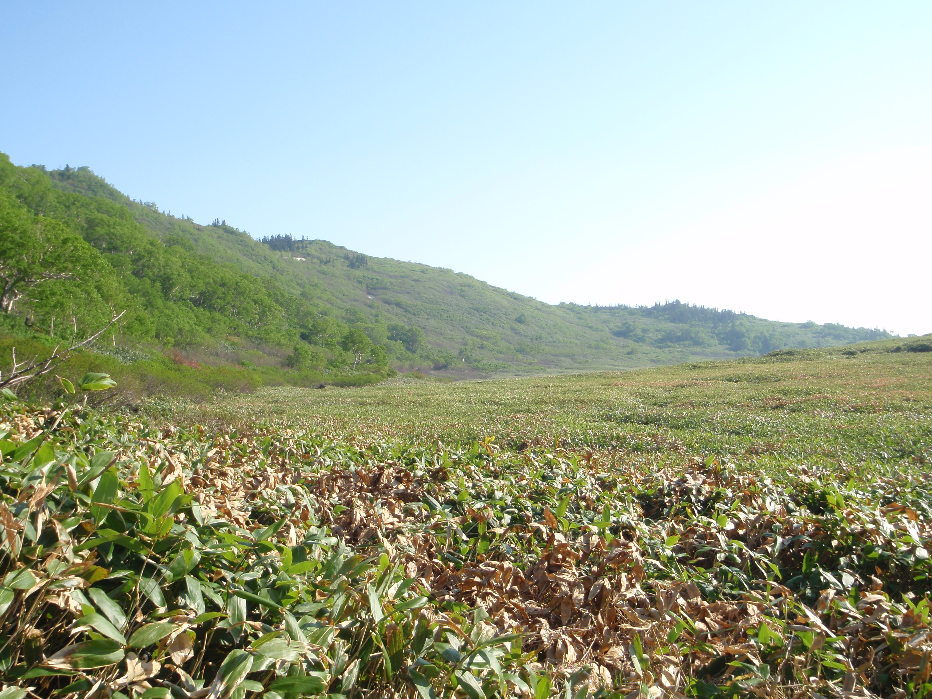 P7050011.jpg