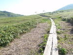 P7050014.jpg