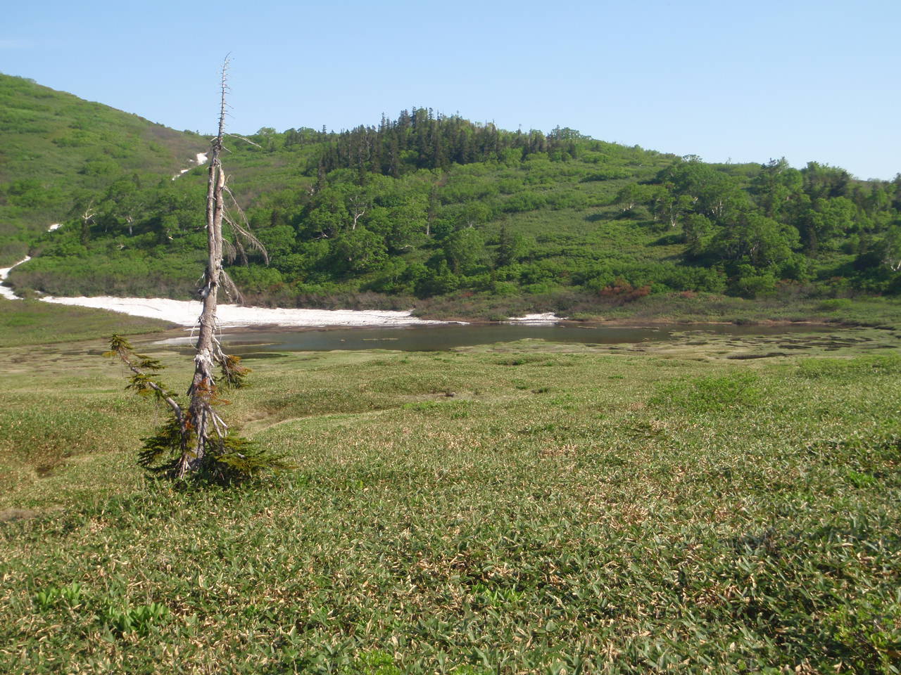 P7050027.jpg