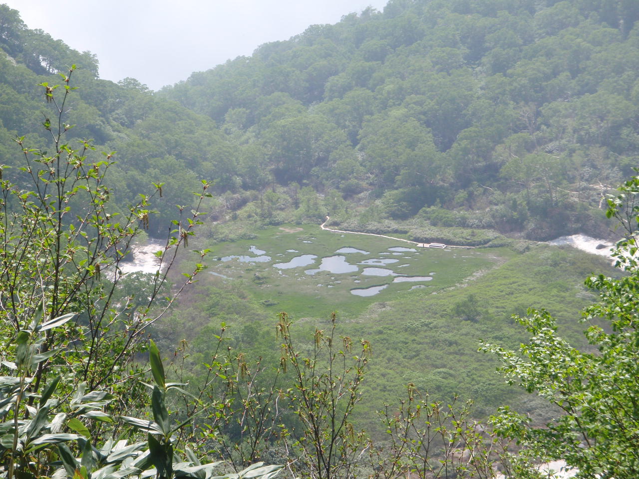 P7050045.jpg