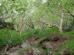 P7050060.jpg