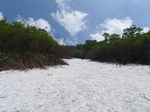 P7050063.jpg