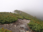 P7050096.jpg