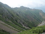 P7050151.jpg