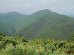 P7050164.jpg