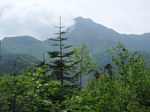 P7050169.jpg