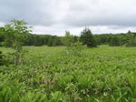 P7110010.jpg