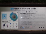 P7110018.jpg