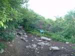 P7120042.jpg