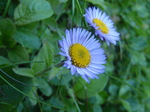 P7120103.jpg