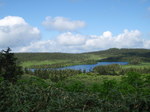 P7120137.jpg