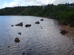 P7120138.jpg