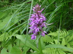 P7120148.jpg