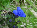 P7120150.jpg