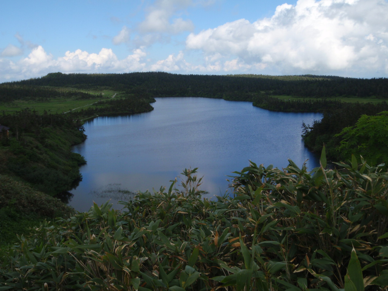 P7120159.jpg