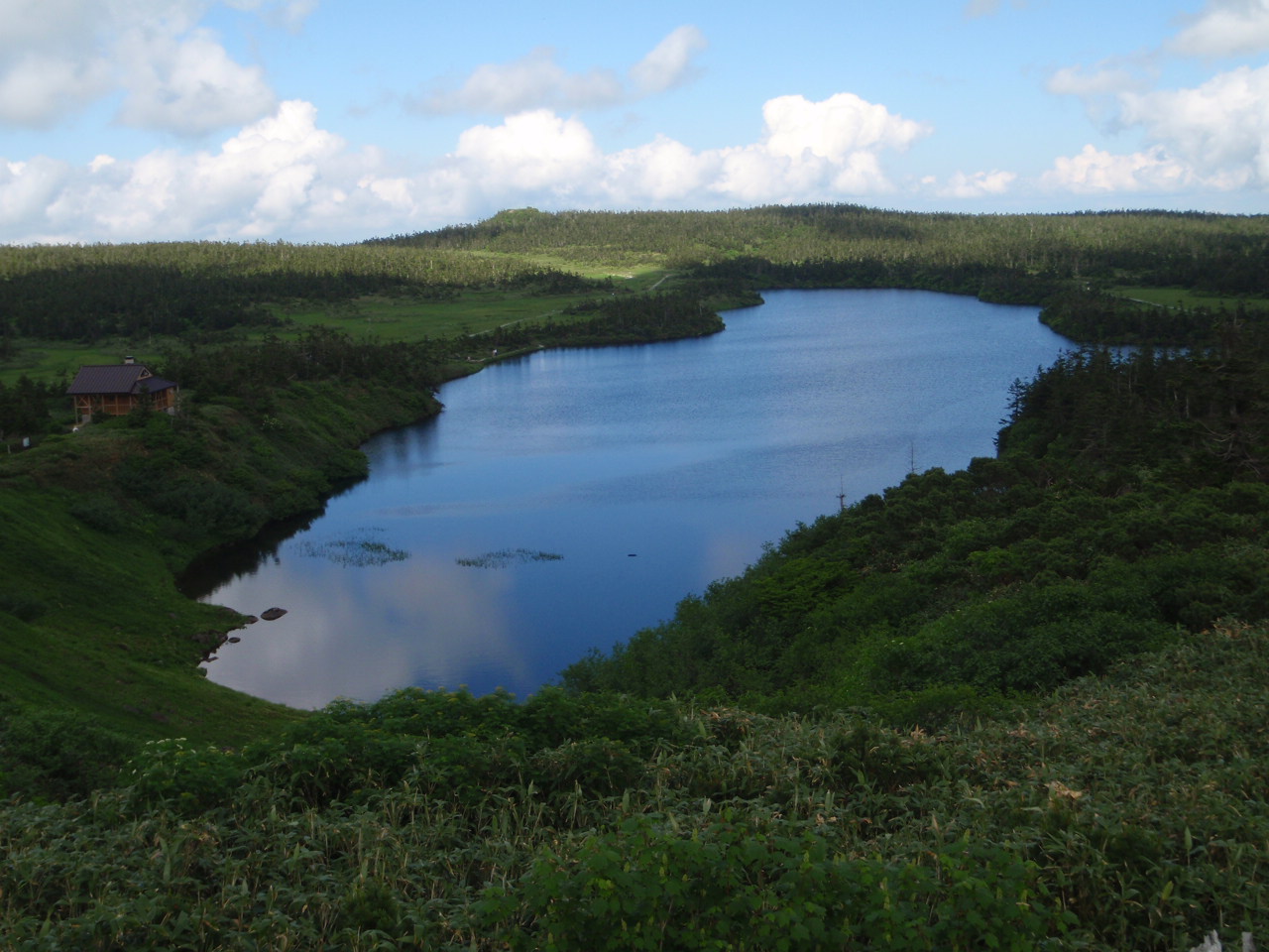 P7120172.jpg