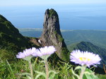P7120174.jpg