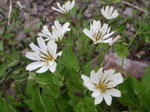 P7120175.jpg