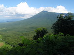 P7120186.jpg