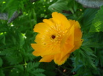 P7120198.jpg