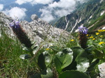 P7180153.jpg