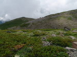 P7190468.jpg