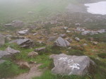P8020116.jpg