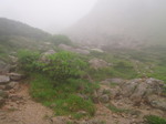 P8020120.jpg