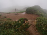 P8020137.jpg