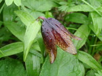 P8020141.jpg