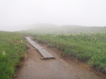 P8020145.jpg