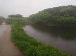 P8020146.jpg