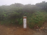 P8020177.jpg