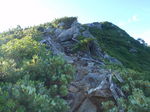 P8080023.jpg
