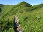 P8080031.jpg