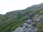 P8080061.jpg