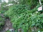 P8090210.jpg