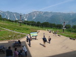 P8100233.jpg